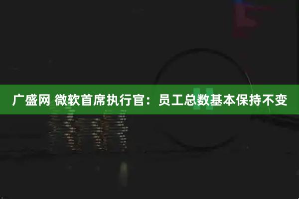 广盛网 微软首席执行官：员工总数基本保持不变