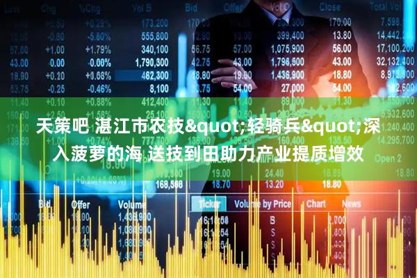 天策吧 湛江市农技"轻骑兵"深入菠萝的海 送技到田助力产业提质增效